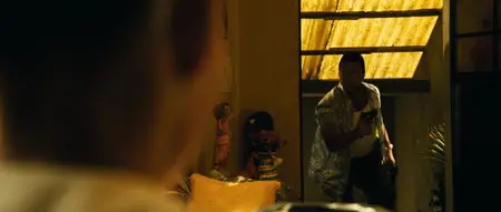 Colombiana (2011)
