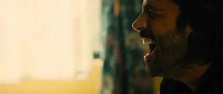 Colombiana (2011)