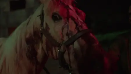 Teacup S01E01