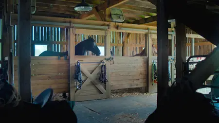 Teacup S01E01