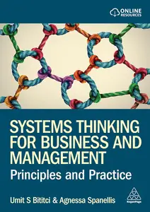 Systems Thinking for Business and Management: Principles and Practice