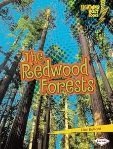 The Redwood Forests