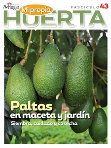 La Huerta en Casa - Fascículo 9 2024