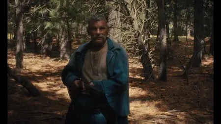 Slow West (2015)