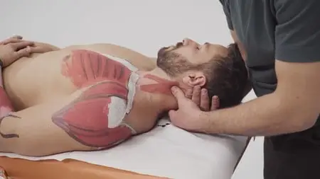 Massage Course: Professional Aproach By Physiotherapist.