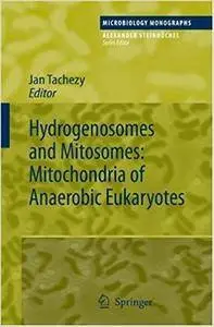 Hydrogenosomes and Mitosomes: Mitochondria of Anaerobic Eukaryotes (Repost)