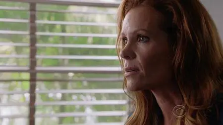 Hawaii Five-0 S08E16