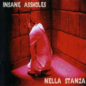 Insane Assholes/Grunter Screams - Nella Stanza/A Saving A Reason A Purpose (2003, Split CD)