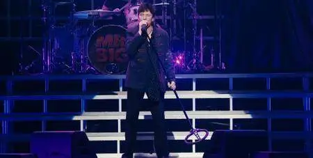 Mr. Big - Raw Like Sushi 114 (Live At Budokan 2014) (2015) [BDRip, 1080p]