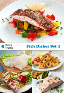 Photos - Fish Dishes Set 1