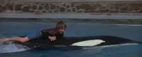 Free Willy (1993)