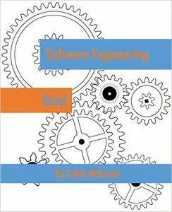 Software Engineering Brief (3 A Day Technology Book 1)