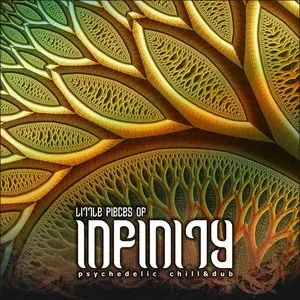 VA - Little Pieces Of Infinity (2010)
