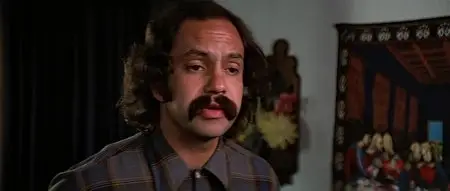 Up in Smoke (1978)