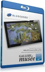 BluScenes: Gallery Musée - Impressionism & Post Impressionism (2011)