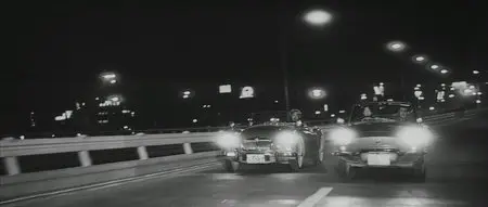 Pale Flower (1964) / Kawaita hana (original title)