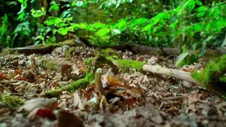 Tiny World S01E05