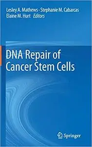 DNA Repair of Cancer Stem Cells