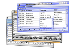 AlmDev BusinessSkinForm v6.11 for Delphi