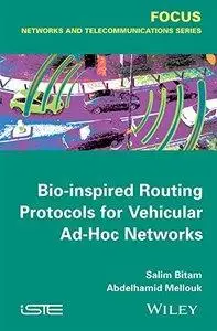 Bio-inspired Routing Protocols for Vehicular Ad-Hoc Networks (repost)