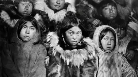BBC - Icebound: The Greatest Dog Story Ever Told (2014)
