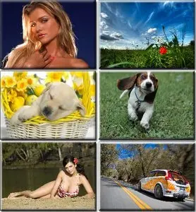 Amazing Desktop Wallpapers Pack 187
