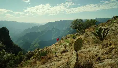 BBC - Mexico: Earth's Festival of Life (2017)