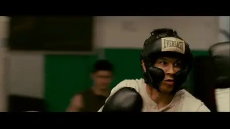 The Fighter (2010)