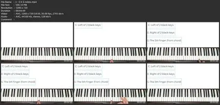 Piano & Keyboard For Beginners: Play By Ear Chords & Songs