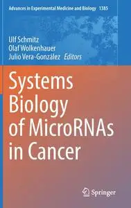 Systems Biology of MicroRNAs in Cancer