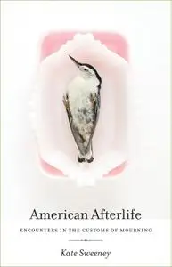 American Afterlife: Encounters in the Customs of Mourning