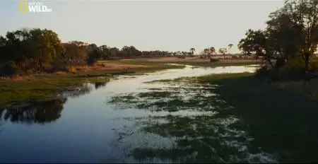 Into The Okavango (2018)