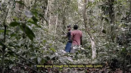 Ch4. - Extreme Tribe: The Last Pygmies (2019)