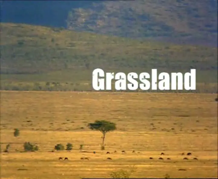 Прирожденные охотники. Диск 3