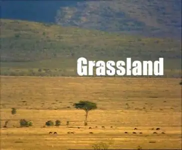 Прирожденные охотники. Диск 3