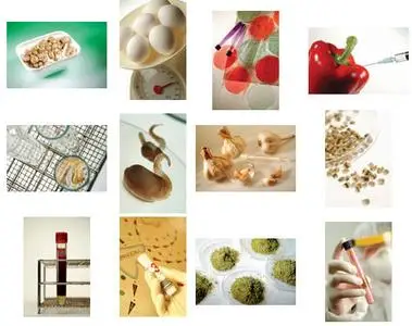 Gourmet Images: Food Biogenetics