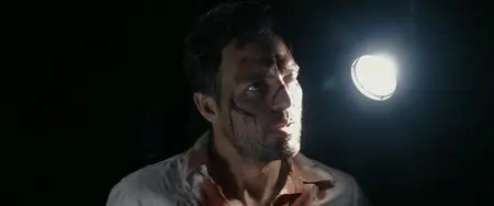 The Brothers Bloom (2008)