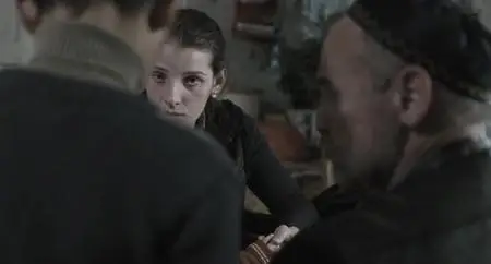 The Search (2014)