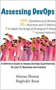 Assessing DevOps: Assess DevOps Quantitatively for your IT, Business and Industry
