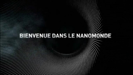 Bienvenue dans le Nanomonde (2013)