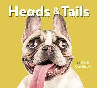 «Heads & Tails» by Carli Davidson