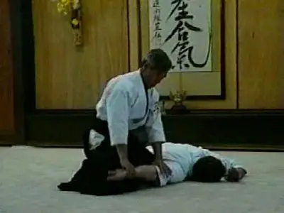 The Principles of Aikido