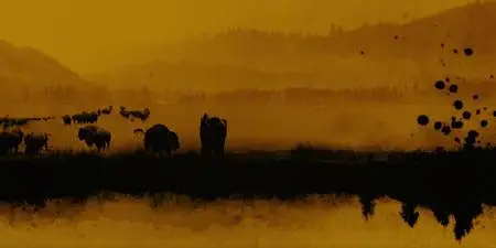 Yellowstone S03E01