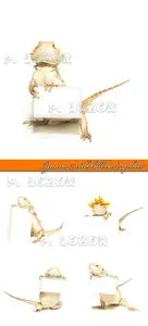 Iguana with billboard photo