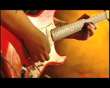 Popa Chubby - Wild Live! (2005)