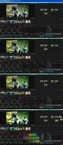 Davinci Resolve 11 (repost)