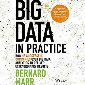 Big Data in Practice: How 45 Successful Companies Used Big Data Analytics to Deliver Extraordinary Results [Audiobook]