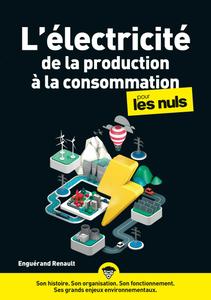 L'électricité de la production à la consommation pour les nuls - Enguerand Renault