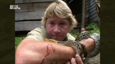 Animal Planet - The Crocodile Hunter Best of Steve: Surfing Snakes Special (2018)