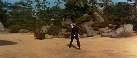 Game Of Death II (1981)